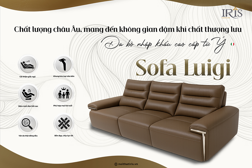 Ghế sofa mang lại chất lượng đậm chất thượng lưu