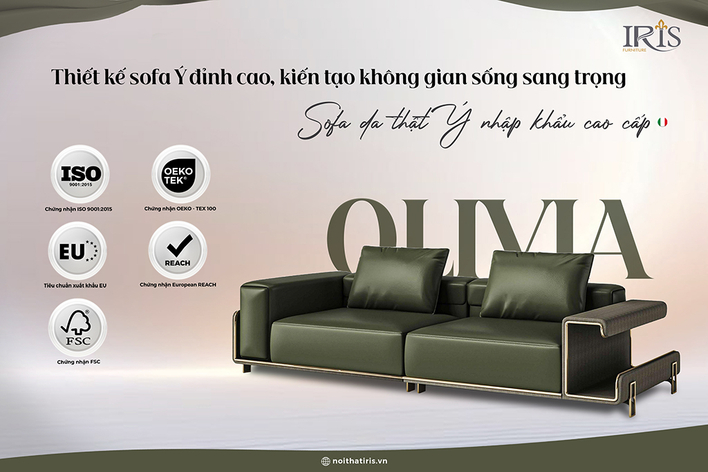 Ghế toát lên vẻ đẹp sang trong cho không gian hiện đại