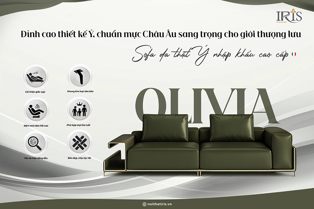 Sofa là sự sang trọng không thể thiếu trong phòng khách