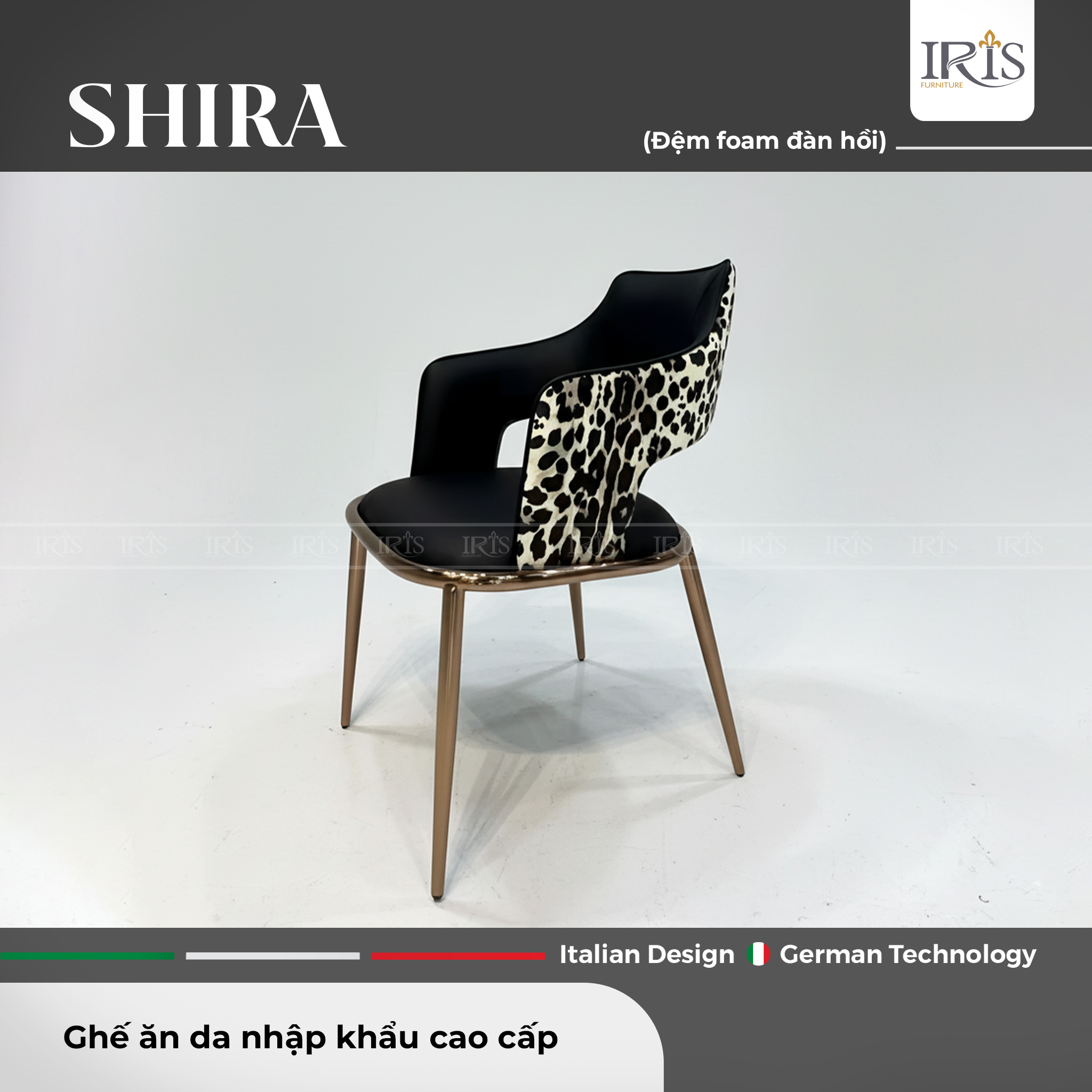 Ghế Ăn Roberto Cavalli Shira