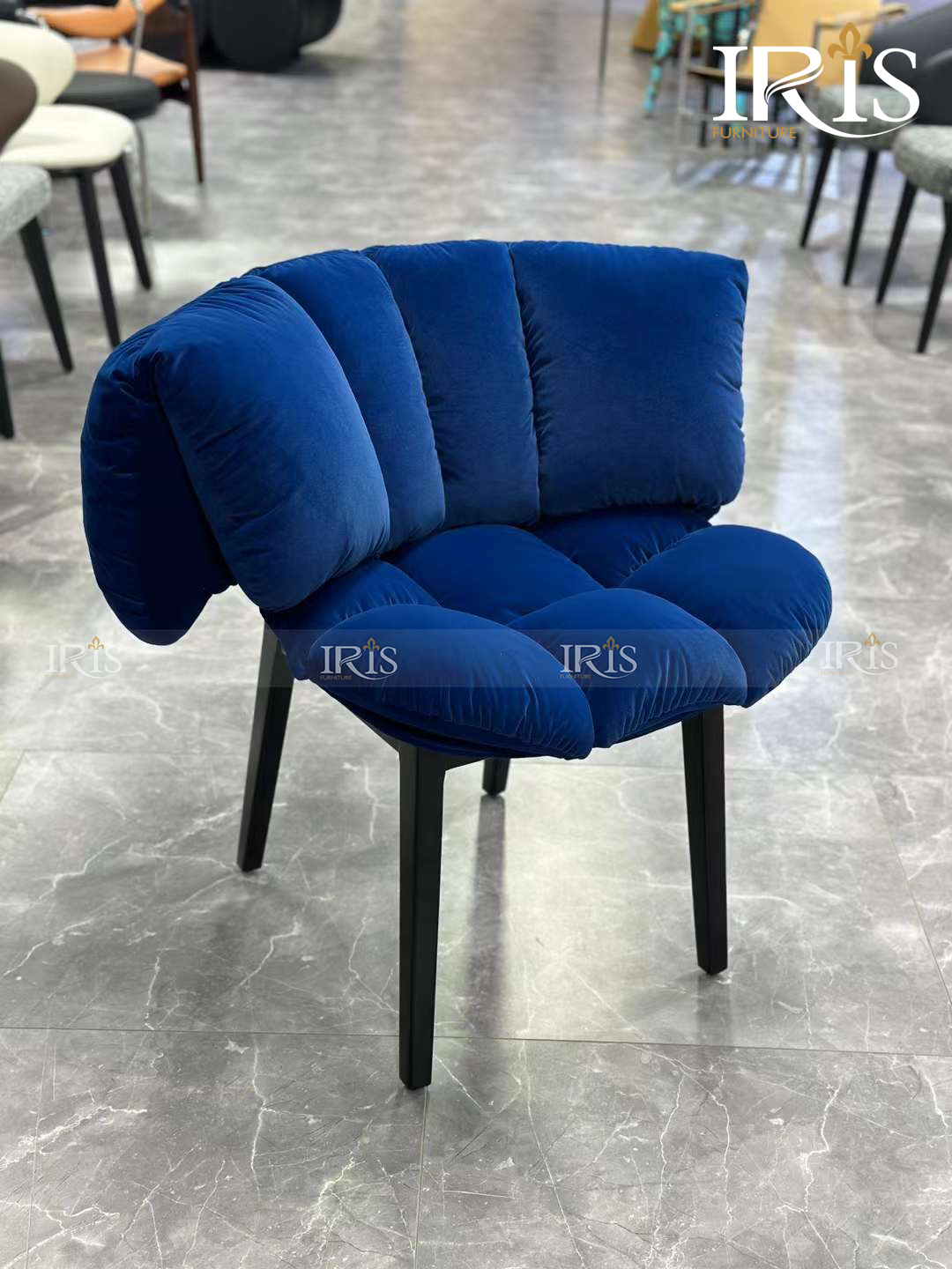 Ghế Ăn EDRA 16 Ghế Ăn EDRA Màu Xanh Dương Hiện Đại