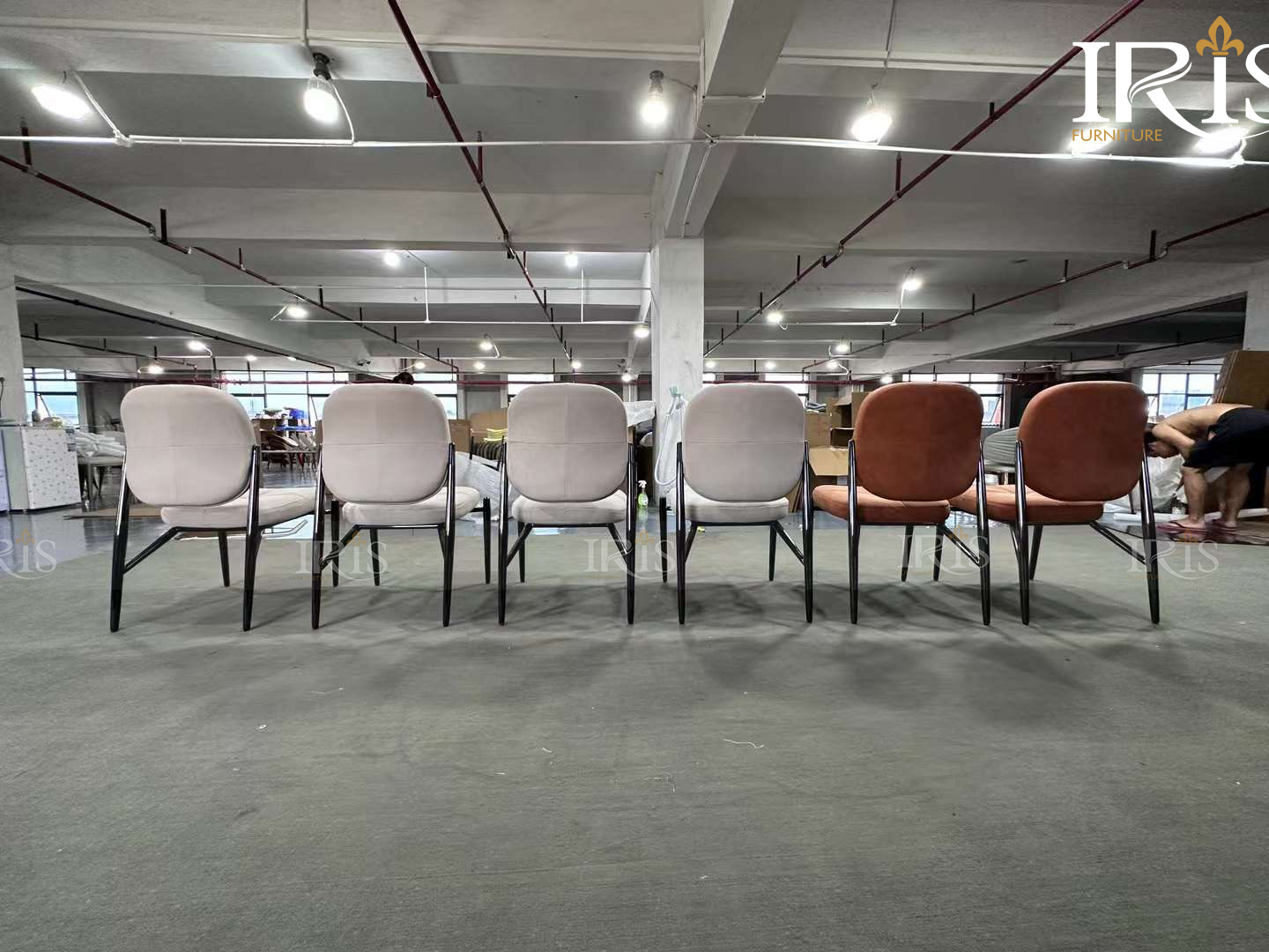 Ghế Ăn HESSENTIA FYRA 25 Ghế Ăn Hessentia Fyra Sản Xuất Tại Nhà Máy