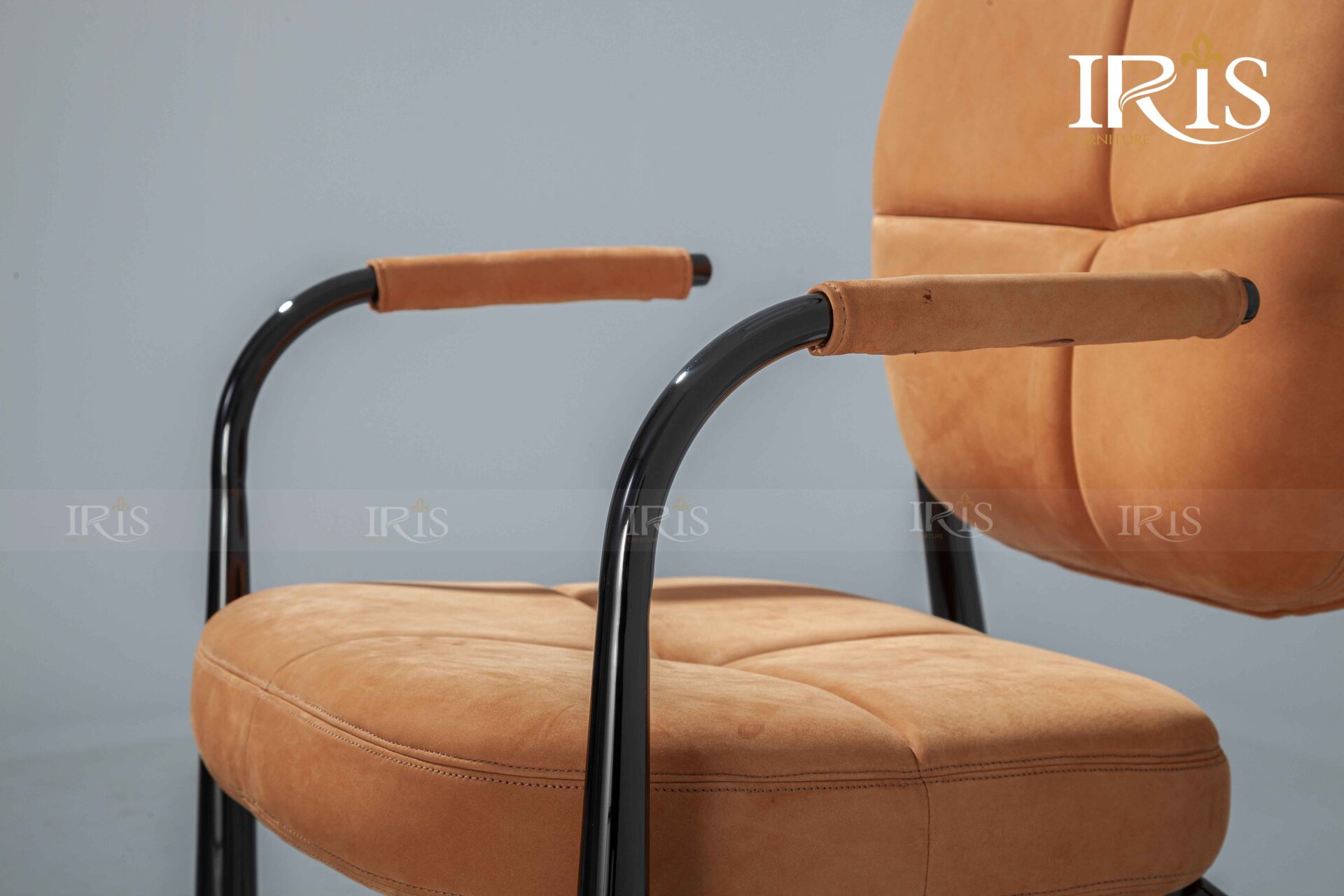 Ghế Ăn HESSENTIA FYRA Có Tay 20 Ghế Ăn Hessentia Fyra Có Tay Bọc Da