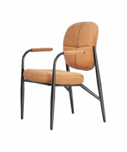 Ghế Ăn HESSENTIA FYRA Có Tay Thanh Lịch