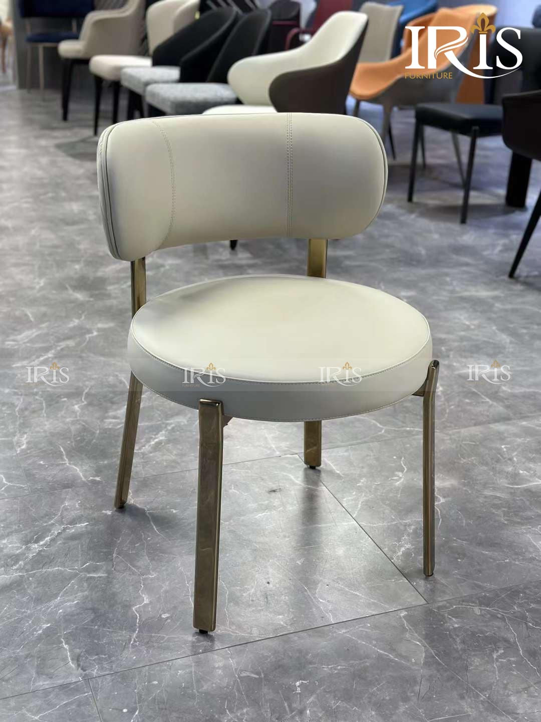 Ghế Ăn Turri Roma 16 Ghế Ăn Turri Roma Bọc Da Cao Cấp