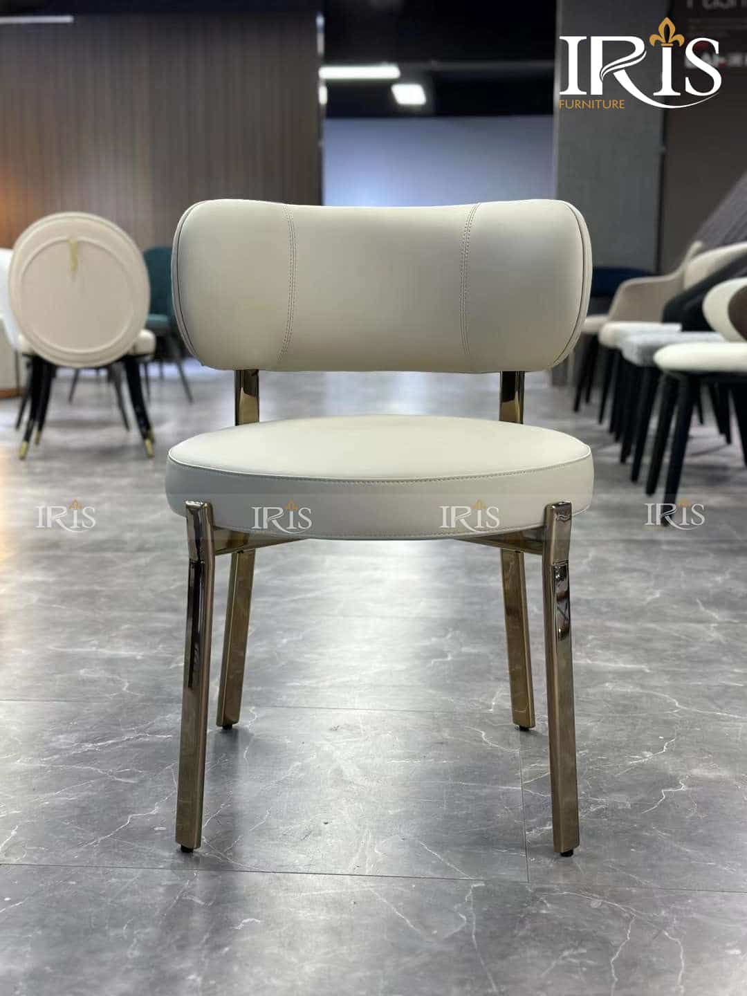 Ghế Ăn Turri Roma 14 Ghế Ăn Turri Roma Decor Sang Trọng