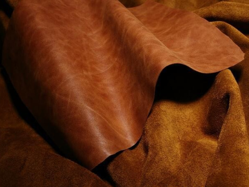 Mất bao lâu để thuộc da bò?