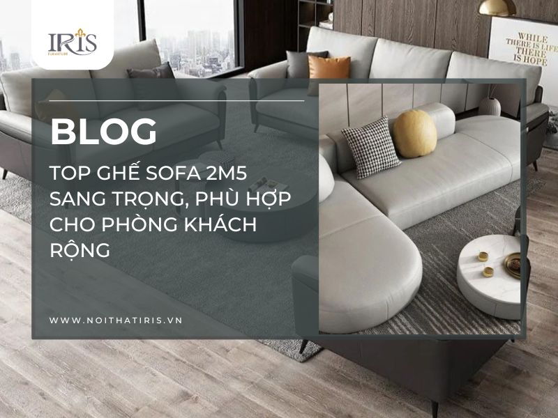 Top Ghế Sofa 2m5 Sang Trọng, Phù Hợp Cho Phòng Khách Rộng